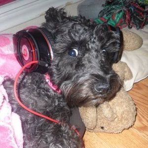 Meet your Posher, Mandy